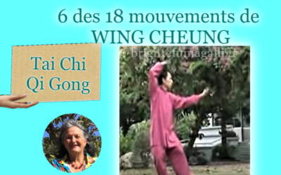 Tai Chi Qi Gong Maitre Wing Cheung
