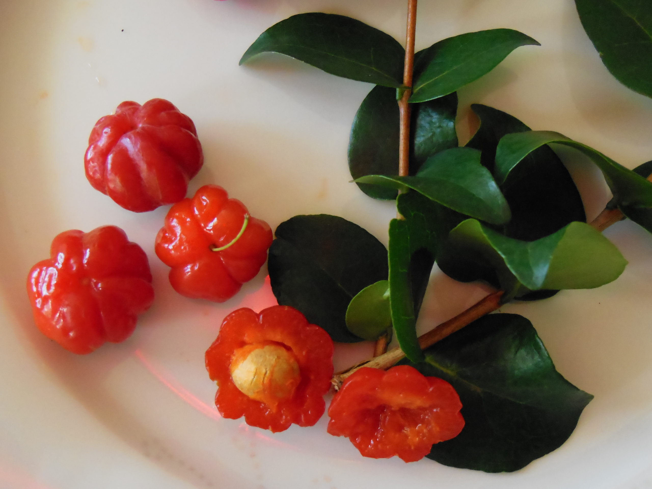 CERISE A COTES, CERISE PAYS - Brigitte Fumagalli