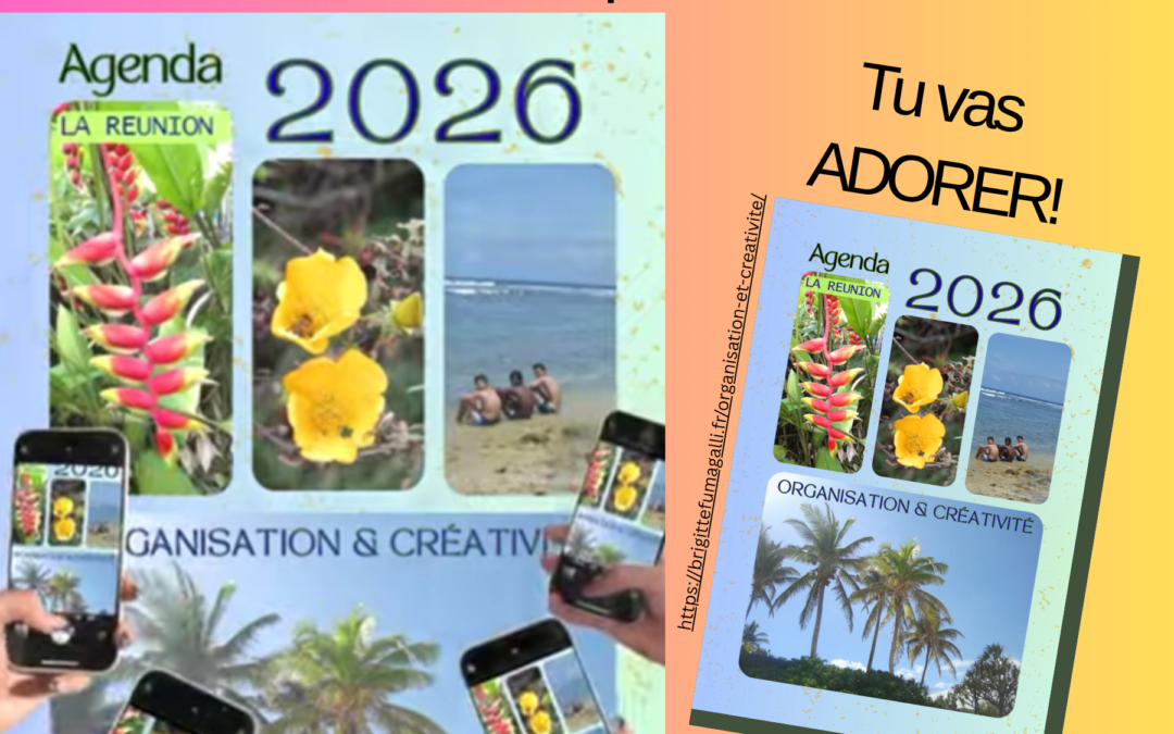 Organisation & Créativité.