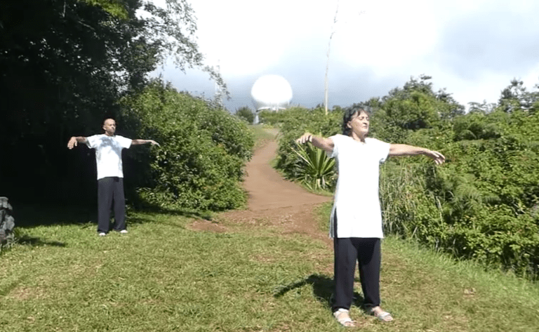 Qi Gong les formules