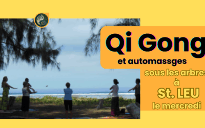 QI GONG DOUX St LEU