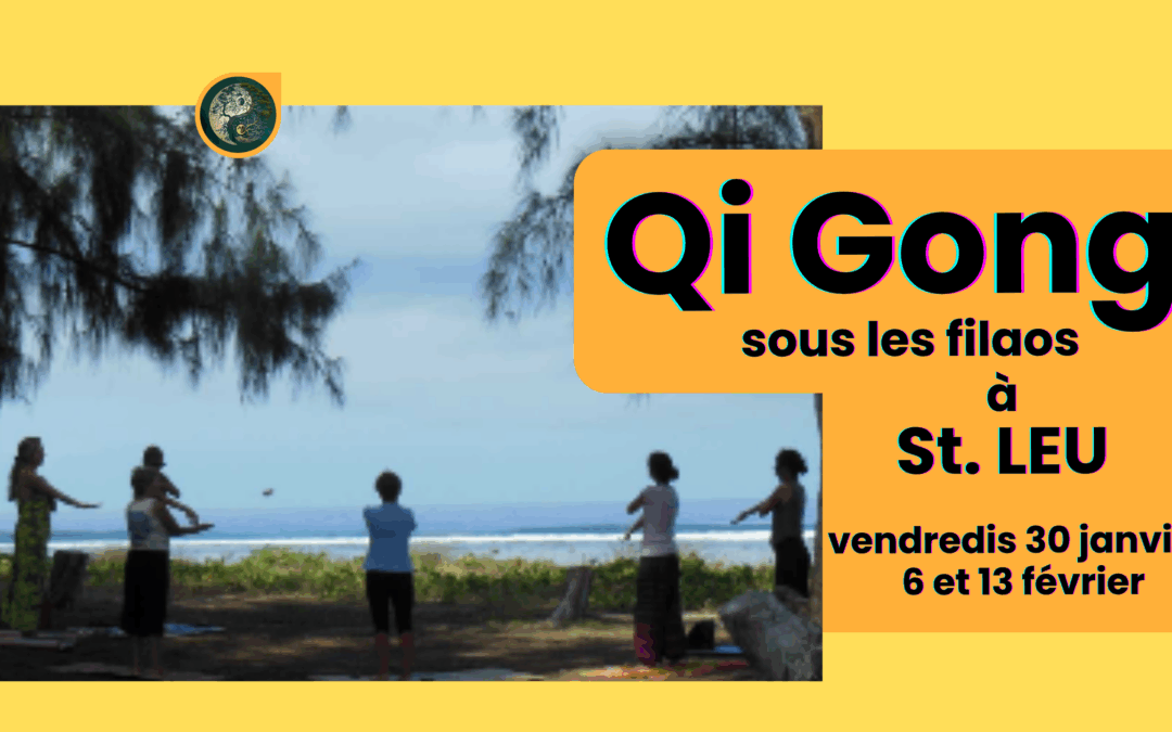 QI GONG DOUX St LEU