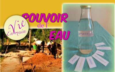 Avez-vous de l’eau à volonté ?